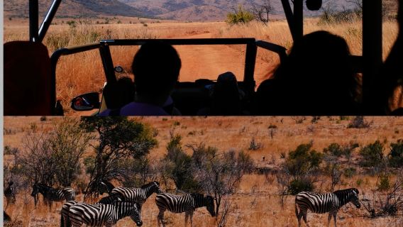 perjalanan satu hari sewa kendaraan pribadi Sehari Johannesburg-Sun City-Taman Nasional Pillinsburg (Safari)
