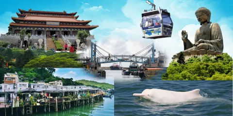 大嶼山大澳漁村深度探索:纜車快線暢遊天壇大佛, 來回市區接送