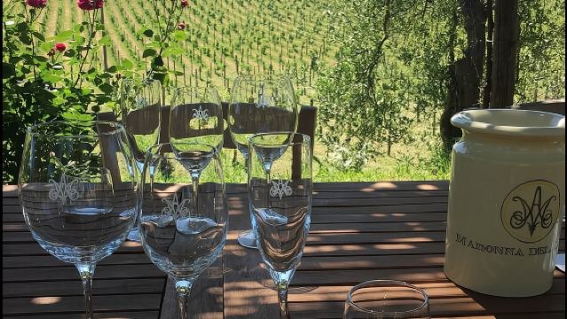 Degustazione di vini e visita alla cantina