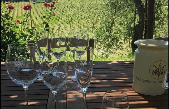 葡萄酒品嚐和酒莊參觀