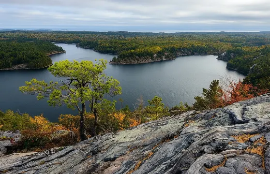 布雷斯布里奇和多倫多之間的智慧型手機語音導覽