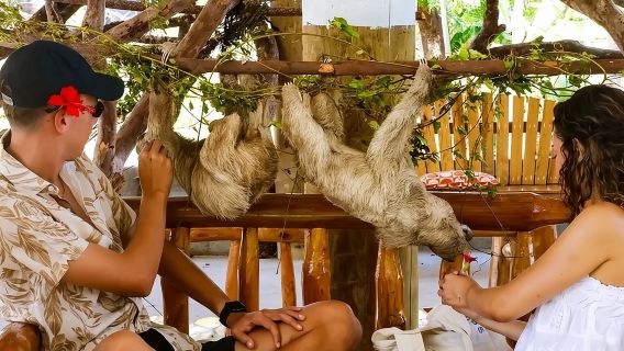 Wildlife adventure, Chocolate factory, city Tour & Beach Break