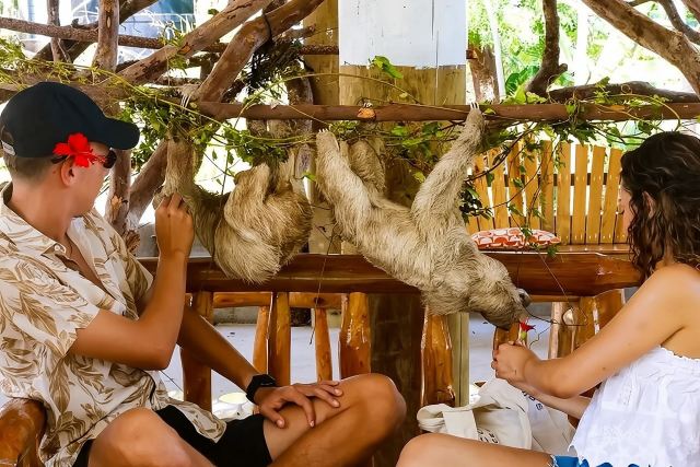 Aventure en pleine nature, visite d'une chocolaterie, tour de ville et pause plage