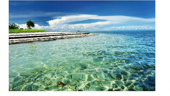 Manila, Philippines + PG Island one-way