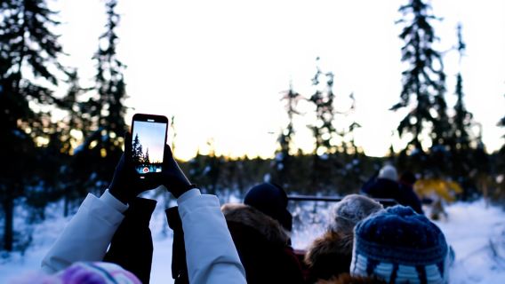 Levi: Lawatan Kombo Safari Wilderness Husky & Rusa Musim Sejuk