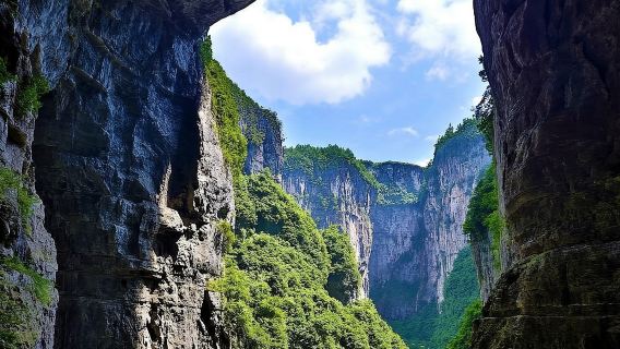 Excursión de un día a los Tres Puentes Naturales de Chongqing Wulong + Parque Forestal de la Montaña de las Hadas + guía turístico en inglés | Tour sin compras