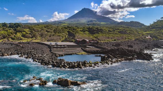 Dari Madalena: Lawatan Hari Berpandu Pico Volcanoes and Lakes