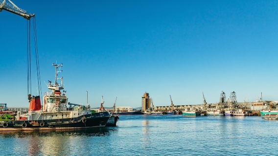 Cape Town: Sunset Champagne Cruise and 3-Course Dinner