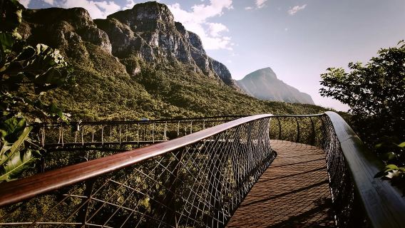 Tur Pribadi Kebun Raya dan Pabrik Anggur Groot Constantia