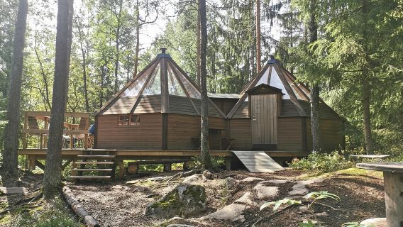 Oslo: Day ticket to Oslo's favourite Climbing Park