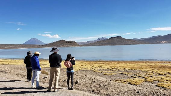Arequipa: Lawatan ke Salinas Lagoon |Hari Penuh|