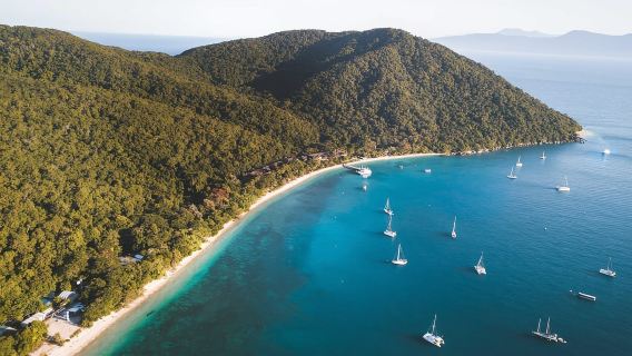 From Cairns: Fitzroy Island Day Trip by Ferry