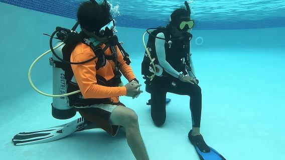 Tayrona National Park: Scuba Diving Tour for Beginners