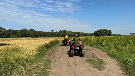 Off-Road Quad Bike Adventure with hotel transfer