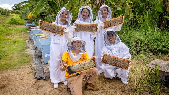 Bee Farm Ecotour and Honey Tasting in Waialua, North Shore Oahu