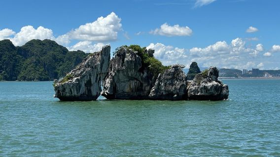 Scopri l'escursione a terra di 04 ore con crociera diurna nella Baia di Halong