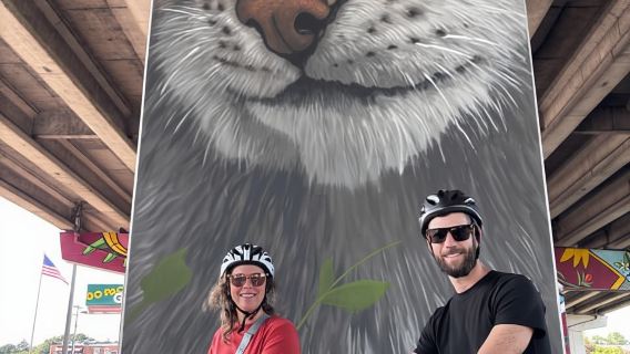 Green Bay : visite guidée en trottinette électrique