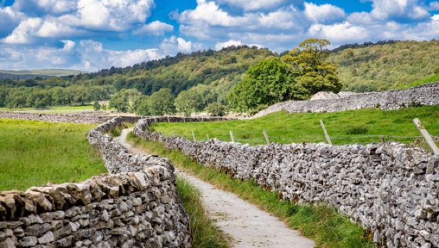 Yorkshire: All Creatures Great and Small Mini-Coach Tour