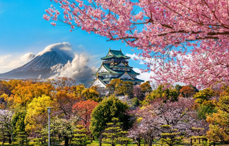 Kyoto/Nara/Uji Private Vehicle Charter from Osaka with English-speaking Driver | Customizable Itinerary | Contact Us for Private Vehicle Charters to Other Destinations(e.g., Kobe, Wakayama) 