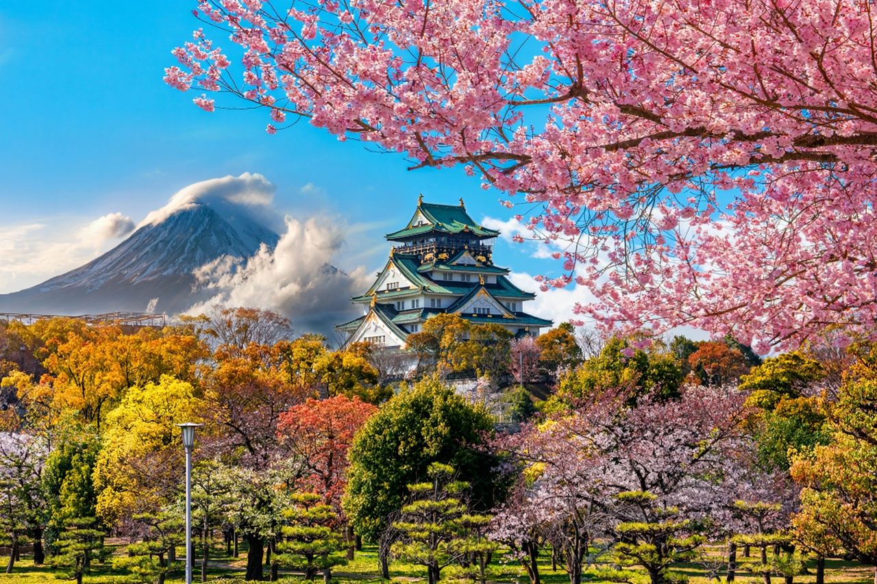 Osaka Car Rental with Driver to Kyoto/Nara/Kobe | Customizable Itinerary | Contact Us for Private Vehicle Charters to Other Destinations(e.g., Kobe, Uji, Wakayama)