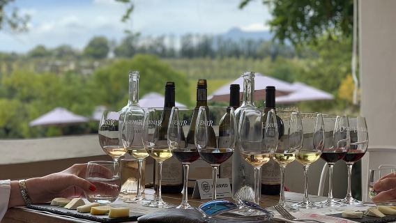 Full-Day Chocolate, Cheese, Olive and Wine Tour from Stellenbosch