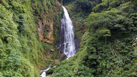 1D Tour to Cingjing Farm from Taichung