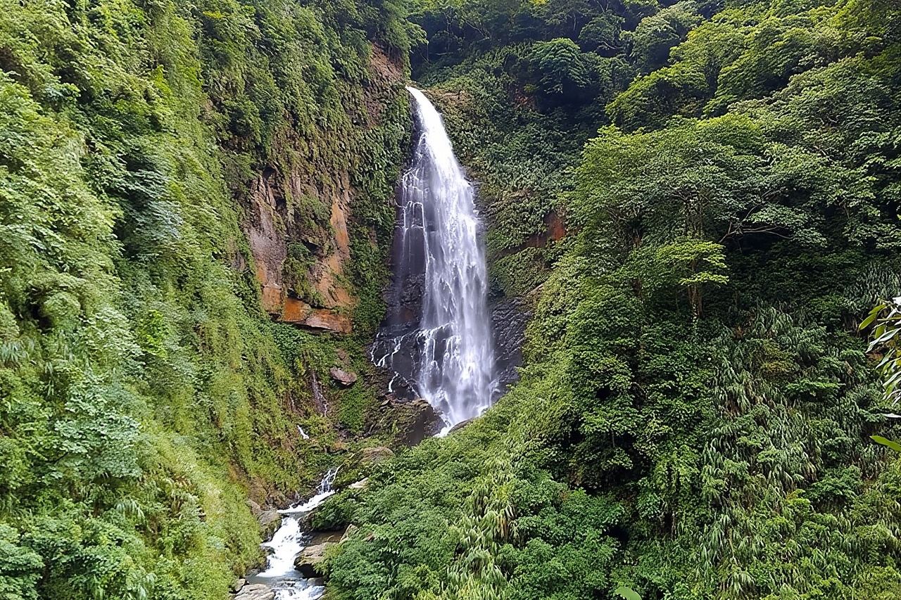 Excursion d'une journée à la ferme Cingjing au départ de Taichung
