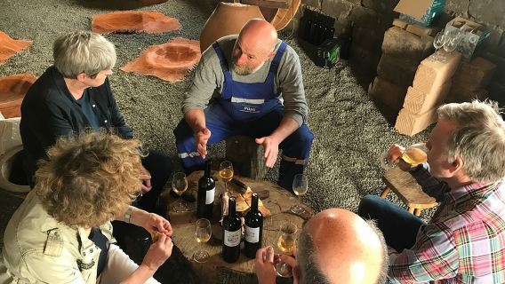 Tour privato di vini biologici da Kutaisi, 2 degustazioni e pranzo