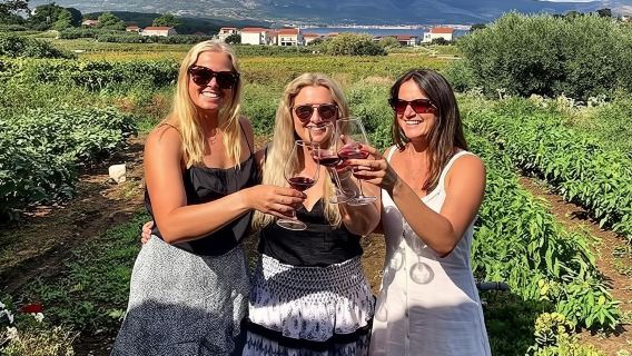 Tour del vino Korčula - grupo privado