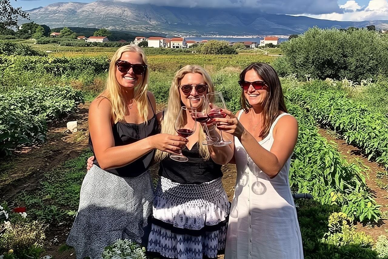 Tour del vino Korčula - grupo privado