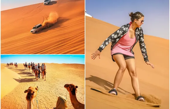 半日沙漠之旅連滑沙及騎駱駝