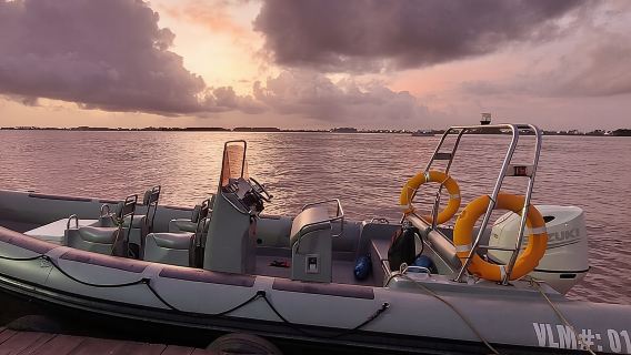 Demerara-Sonnenuntergangsfahrt