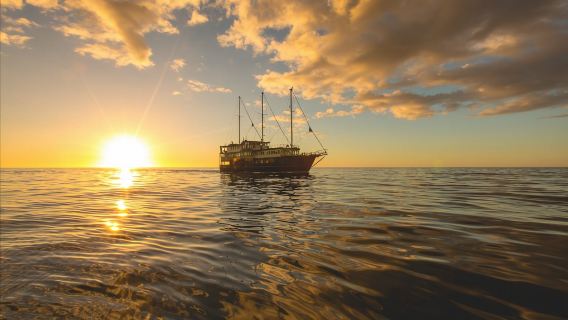 New Zealand South Island Milford Sound / Piopiotahi cruise + sightseeing bus 1-day tour (Monarch/Mariner/Haven/Southern Discoverer + round-trip from Queenstown/Te Anau)