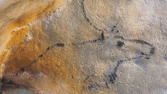 El Castillo caves and Paleolithic art day trip from Santander