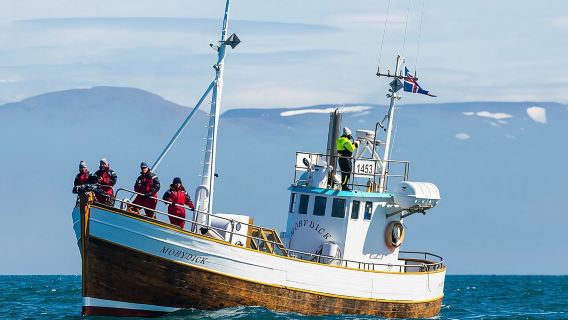 AkureyriExperiences