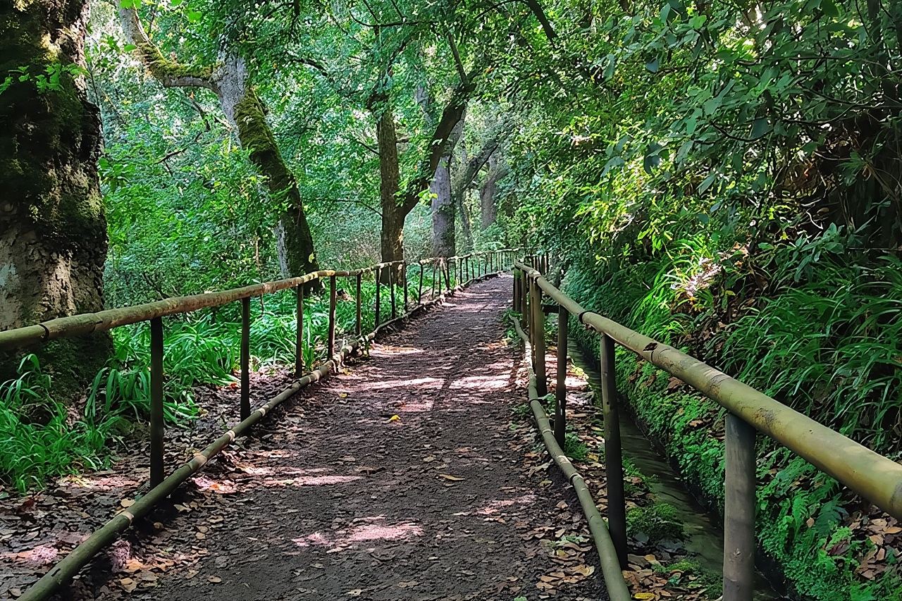 Trasferimento a Caldeirão Verde Levada Escursione autoguidata Queimadas
