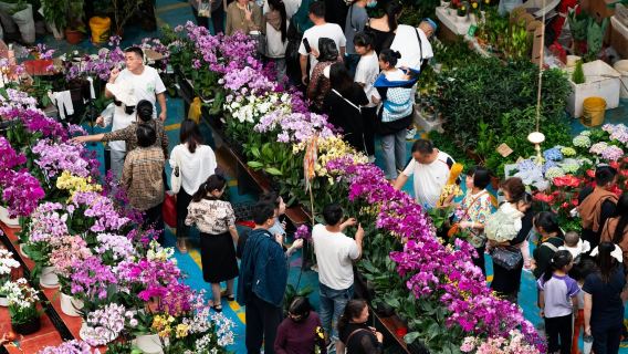 гибкий однодневный тур по достопримечательностям Куньмина с индивидуальным трансфером/арендой автомобиля с водителем