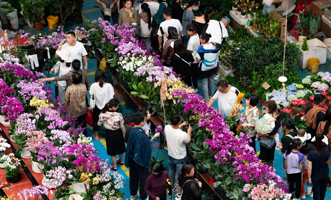 Flexibler Tagesausflug zu den Highlights von Kunming mit Privattransfer