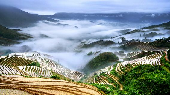 【獨立包團·包車】龍脊梯田-雙寨（金坑梯田+平安梯田）一日遊