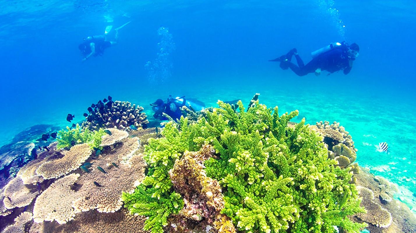 分界洲島戶外買一送一丨含門船票+玻璃船+浮潛