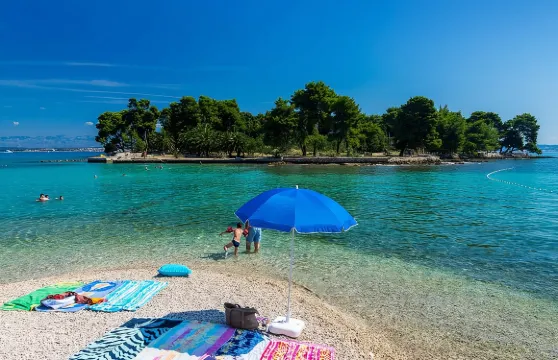 參加半日遊，乘坐傳統木船遊覽扎達爾的2個島嶼