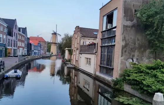 包車暢遊斯希丹五大亮點：琴酒、風車、市立博物館、聖揚教堂