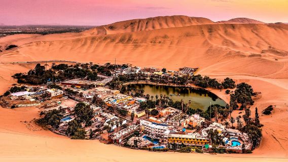 From Lima: Day Trip to Paracas and the Huacachina Oasis