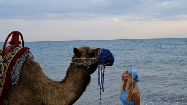 Djerba: Camel Ride, Flamingos, and Lagoon Tour