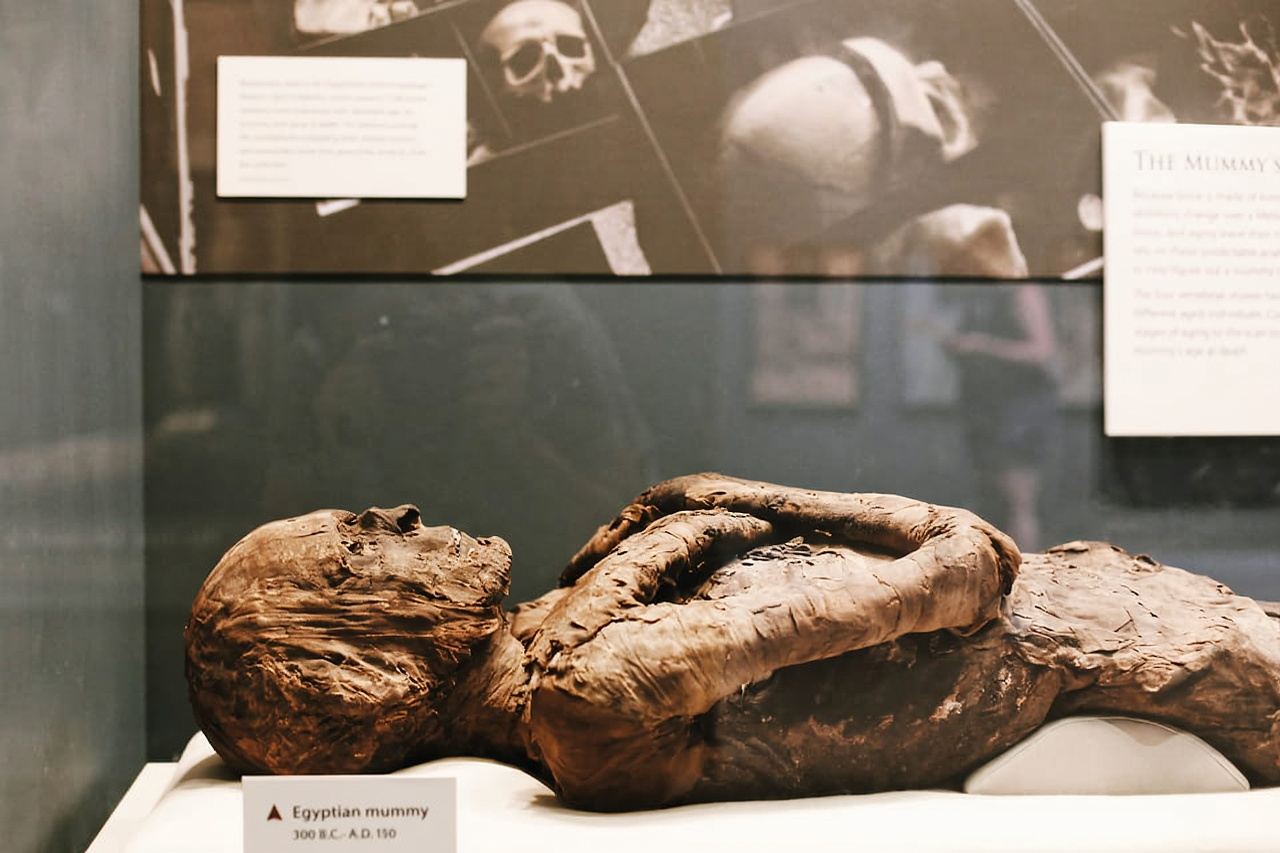 Smithsonian Natural History + Air & Space Museum Tour 8ppl