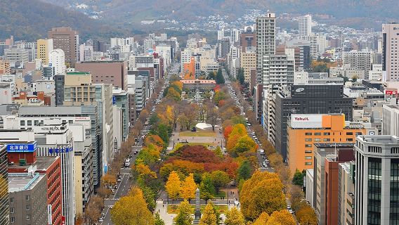Toegangsbewijs voor de Sapporo TV-toren