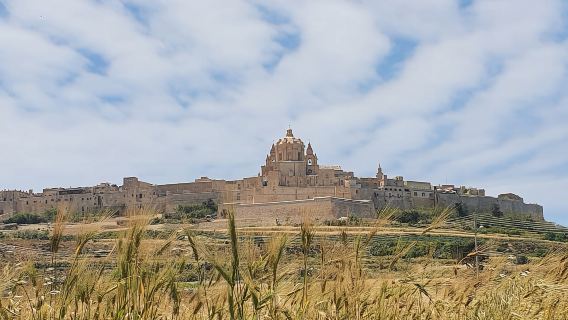 Malta: tour gastronomico di Medina e Rabat