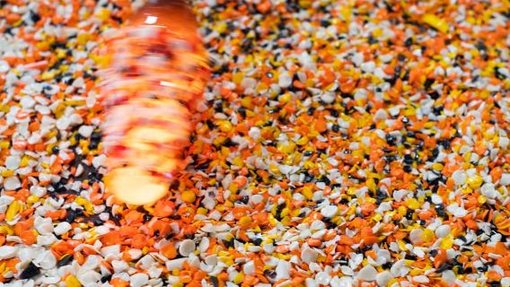 เวนิส: เที่ยวชมมูราโนและบูราโน