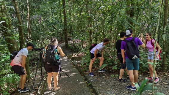 Parque Nacional Manuel Antonio: Visita guiada con ENTRADA INCLUIDA
