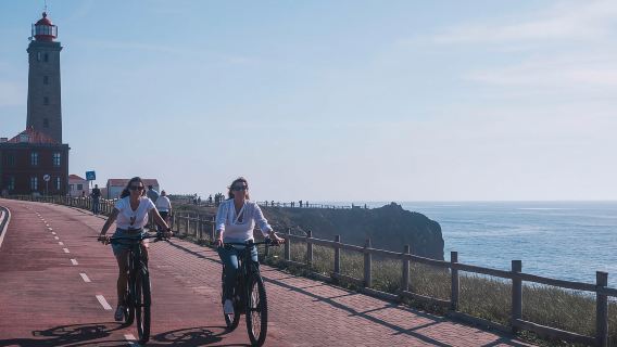 대서양 연안 전기 자전거 및 유리 박물관 투어